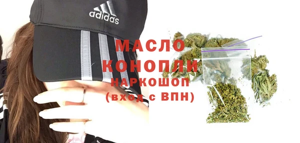 крисы Новодвинск