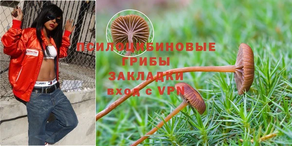 крисы Новодвинск