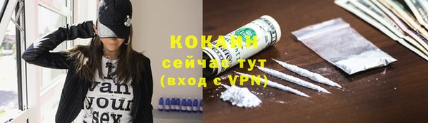 крисы Новодвинск