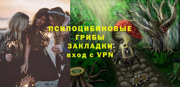 крисы Новодвинск