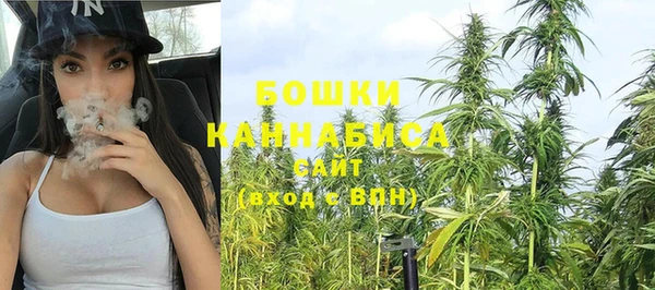 крисы Новодвинск