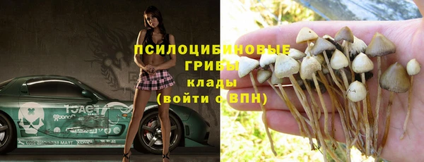 крисы Новодвинск