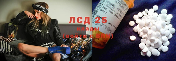 крисы Новодвинск