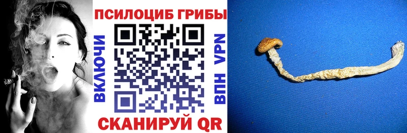 Псилоцибиновые грибы ЛСД  Купить где  Елизаветинская 